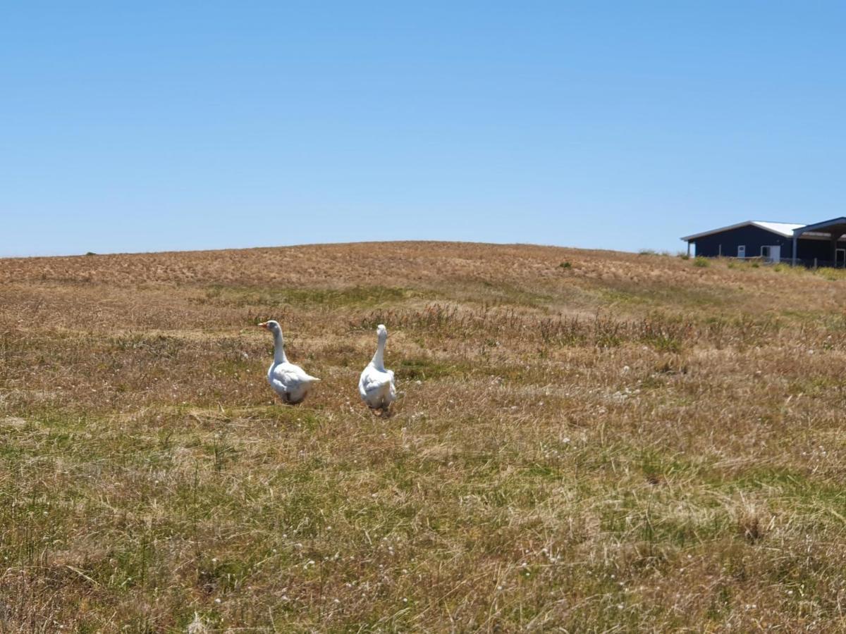 Coorong Island Retreat - Farm Stay At Pet Friendly Property Meningie Exterior photo