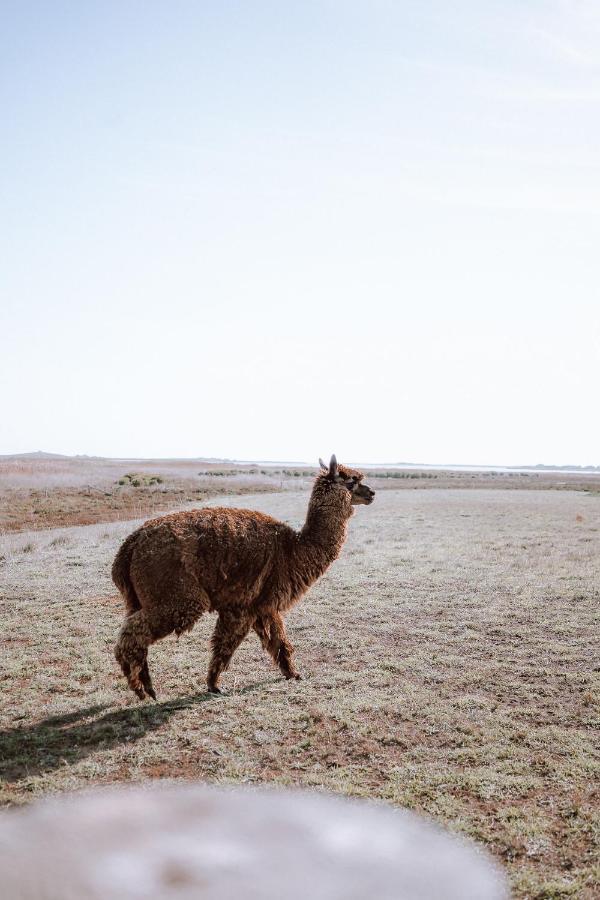 Coorong Island Retreat - Farm Stay At Pet Friendly Property Meningie Exterior photo
