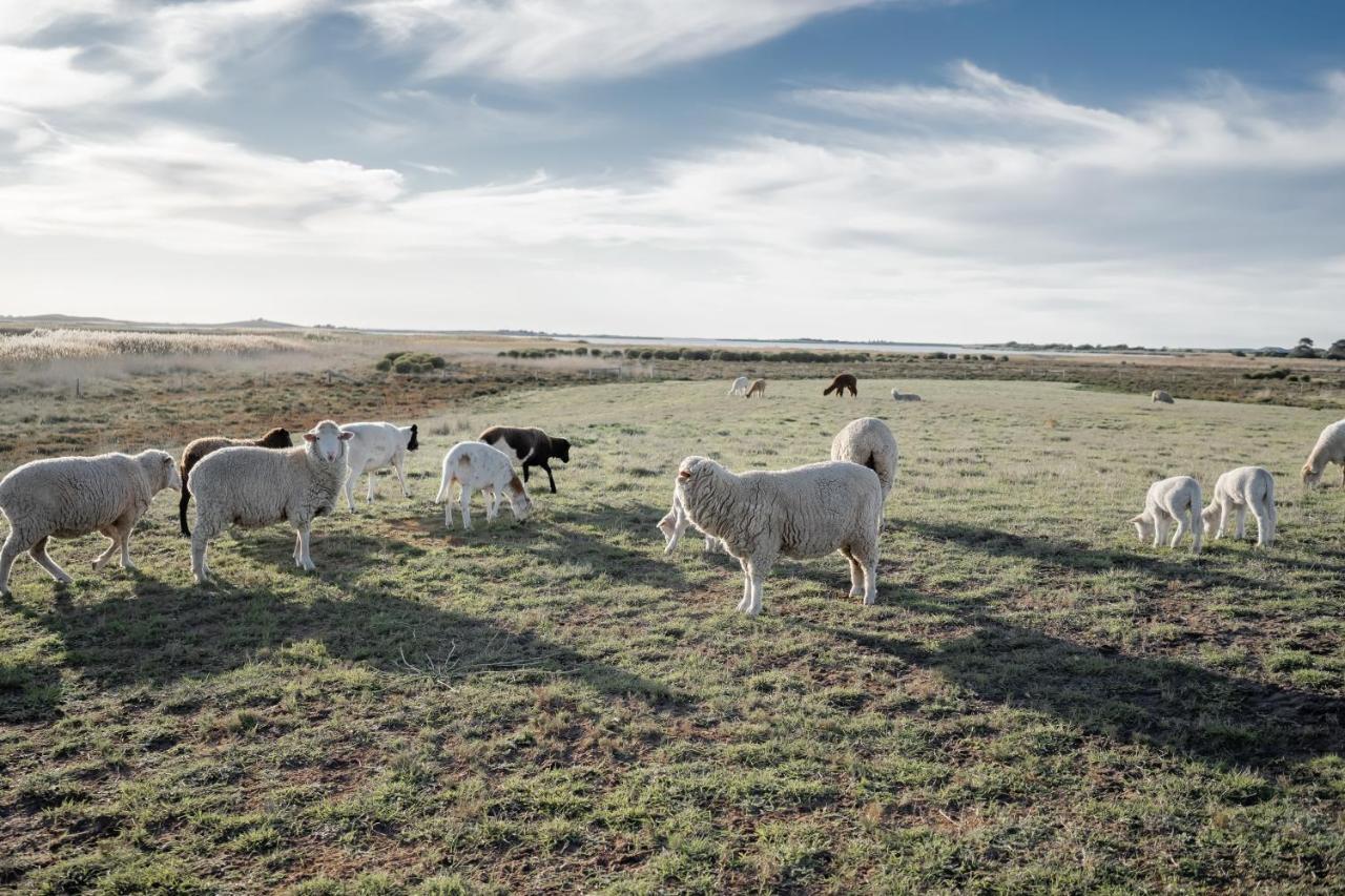 Coorong Island Retreat - Farm Stay At Pet Friendly Property Meningie Exterior photo